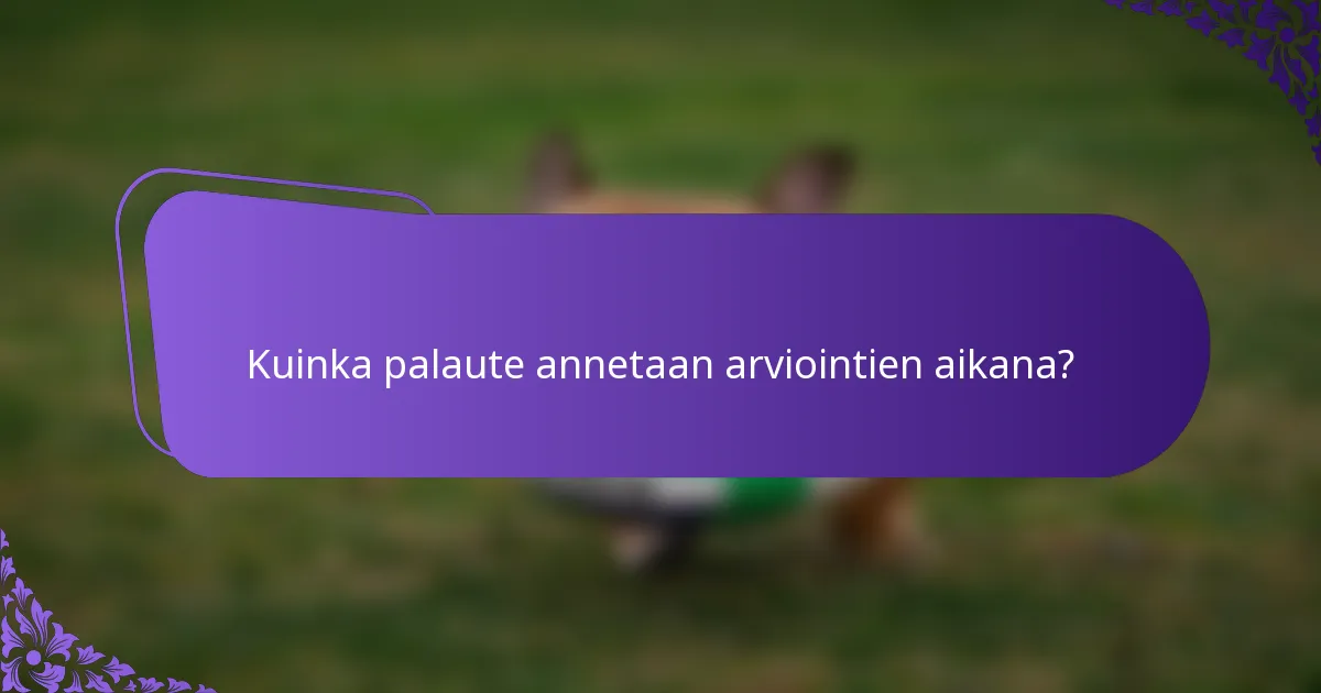 Kuinka palaute annetaan arviointien aikana?