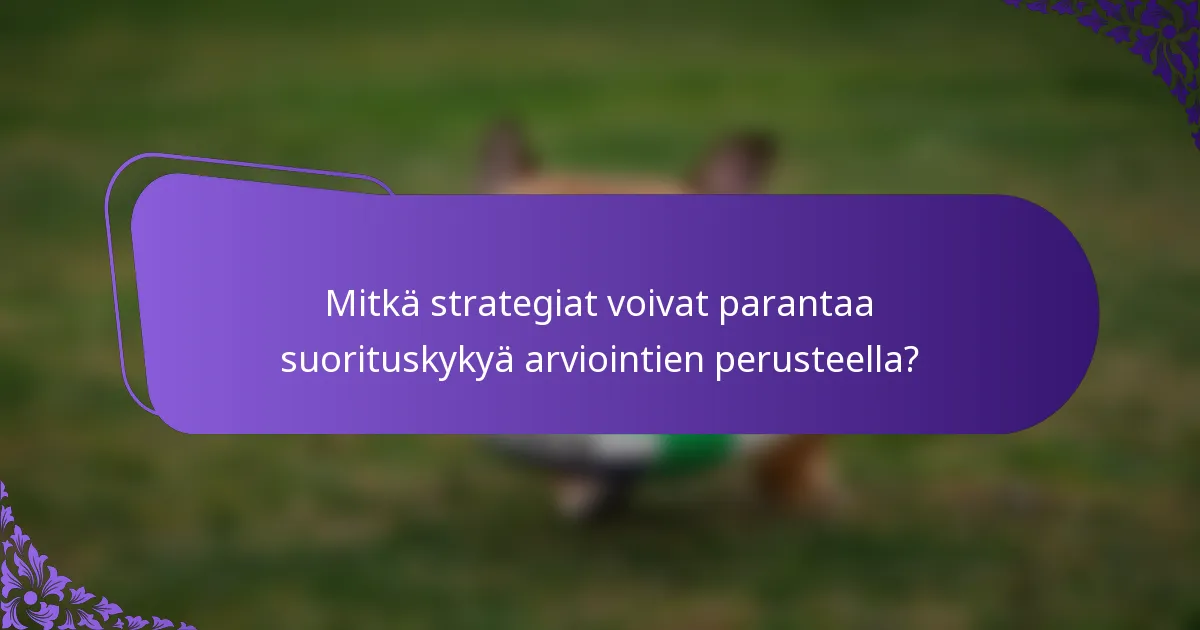 Mitkä strategiat voivat parantaa suorituskykyä arviointien perusteella?