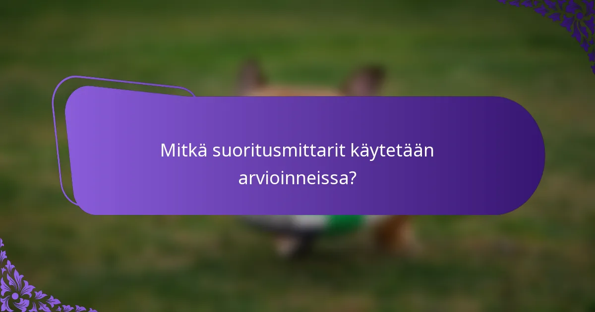 Mitkä suoritusmittarit käytetään arvioinneissa?